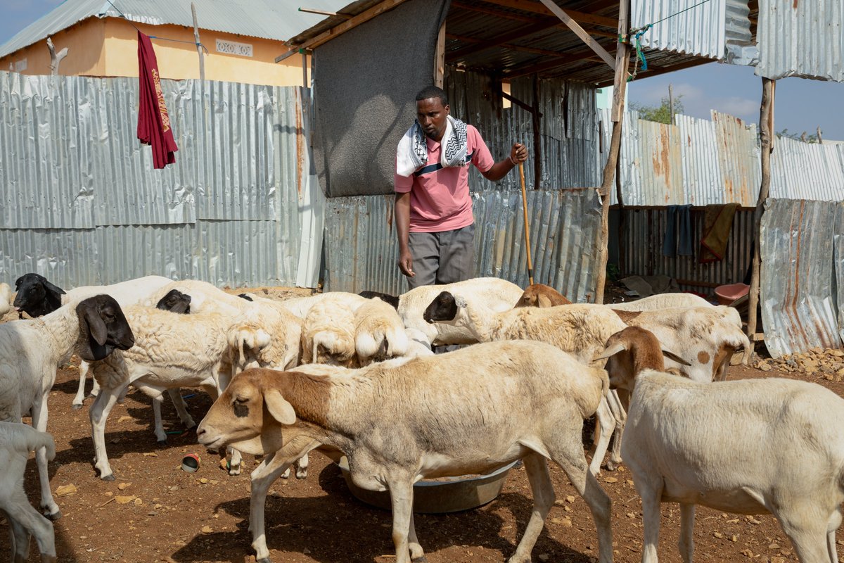 UNDP Somalia tweet media