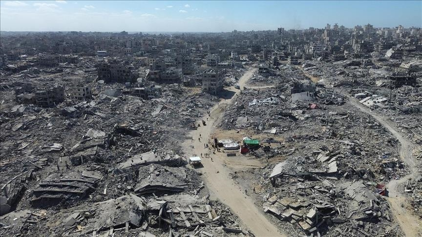 د. بشرى صدقي tweet media