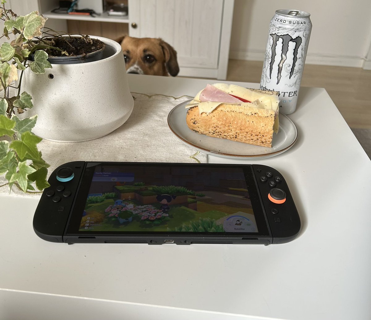 marixa 💎💀 2.0 2026 tweet media