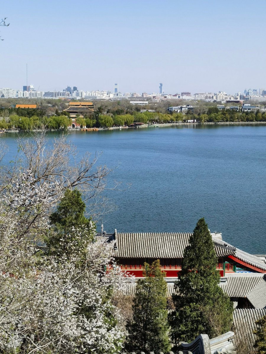 X0X0LURi's tweet image. " Community Clean-Up Day! Sat, 10AM at Maple Park. Grab gloves + bring a buddy—let’s keep our neighborhood fresh! Free snacks for volunteers! #NeighborLove #LocalGood"