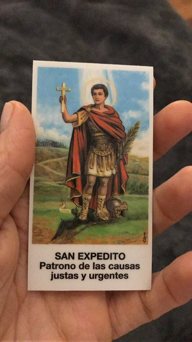 Gi Davidswright tweet media