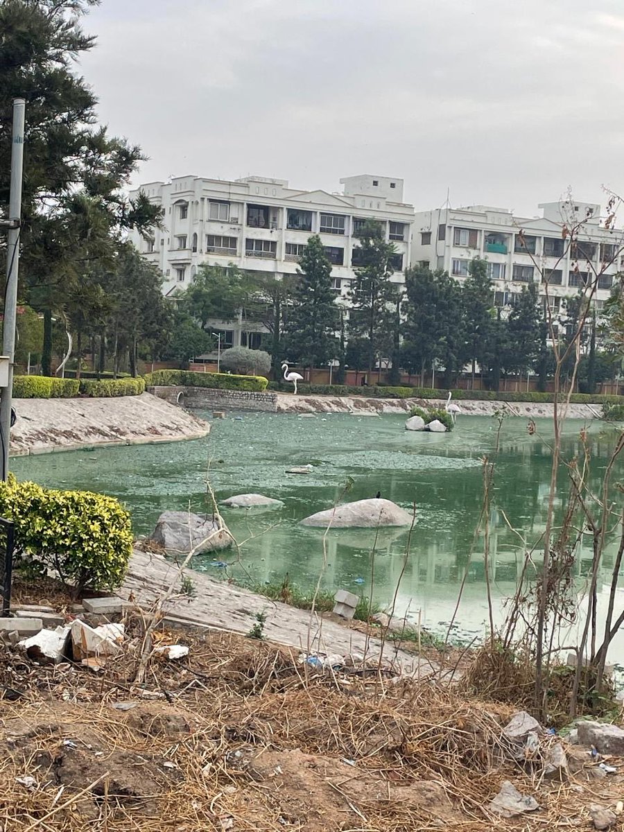 Bicycle Mayor of Hyderabad tweet media