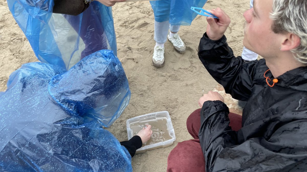 European Commission in Cyprus tweet media