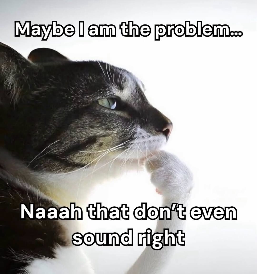 LAnDo NIFFIRG™️🇨🇦 tweet media