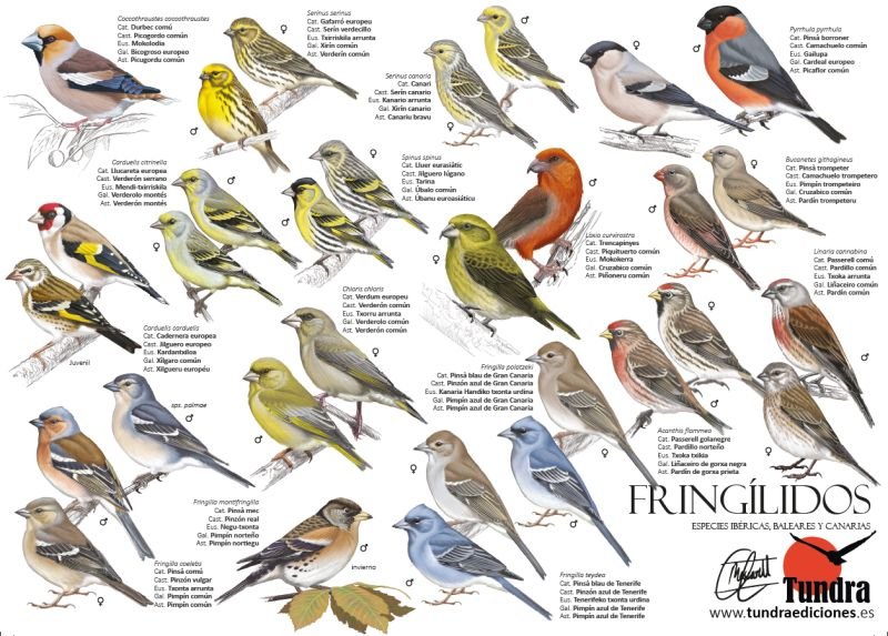 Tundra Ediciones tweet media