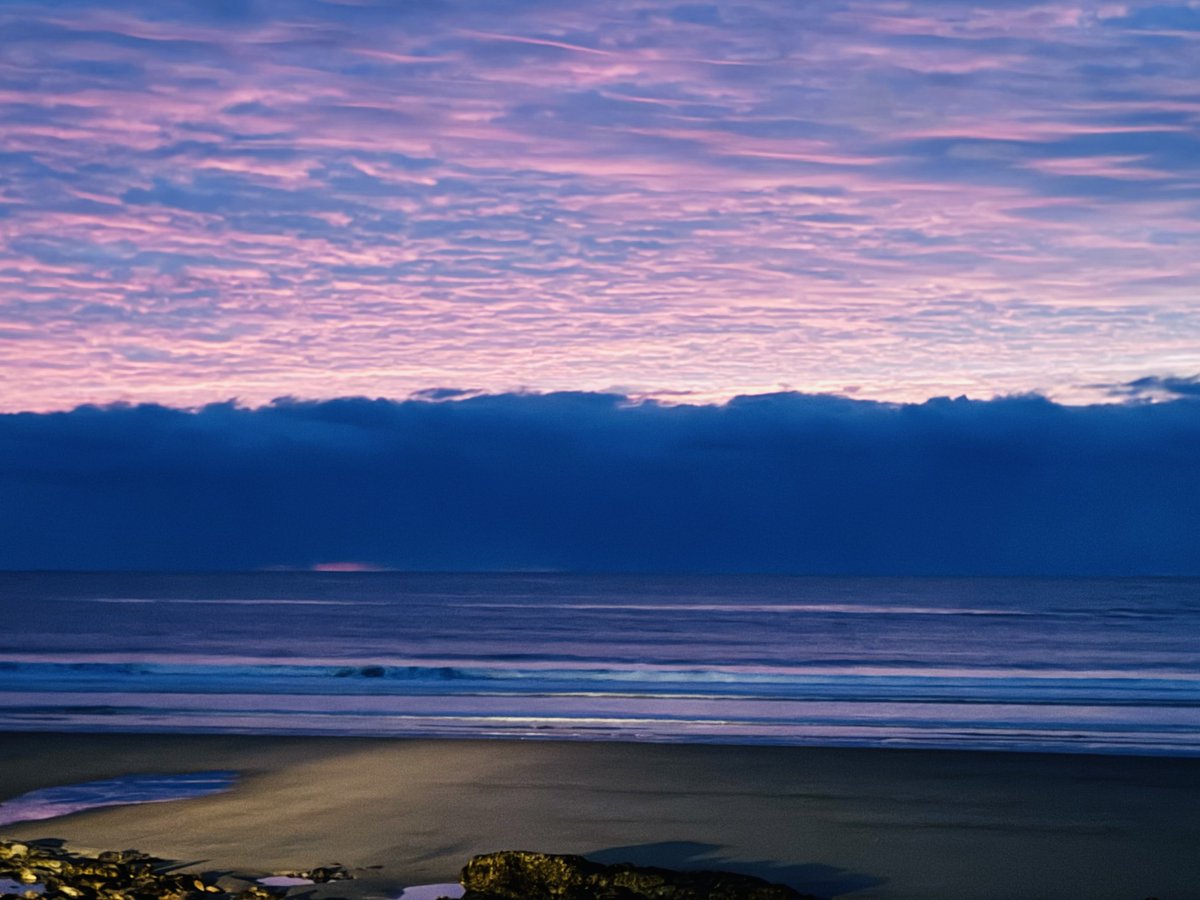 Realtor Rick 💙 tweet media