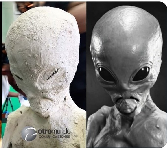 nativewarrior tweet media