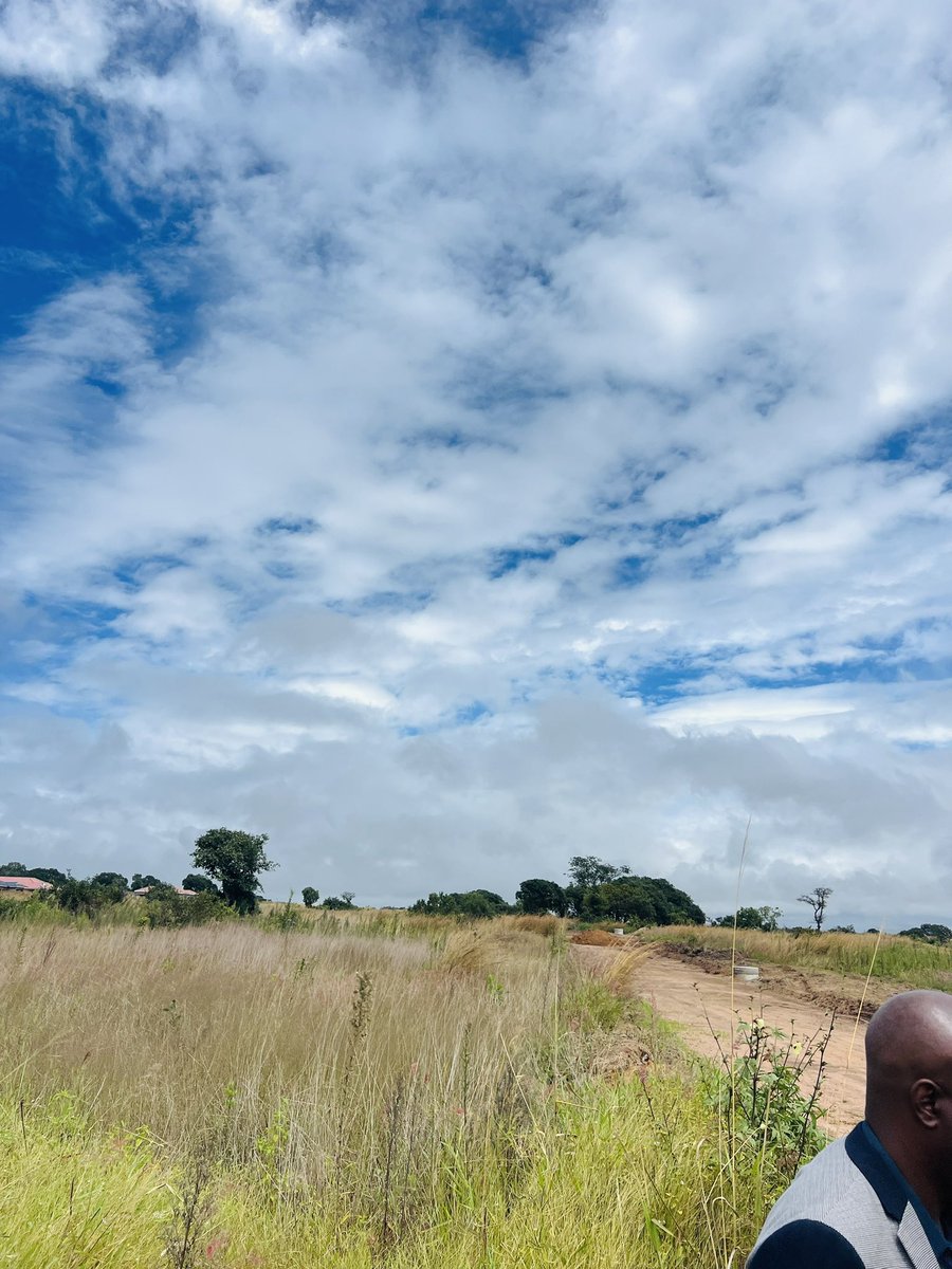 Prof. Paul Mavima tweet media