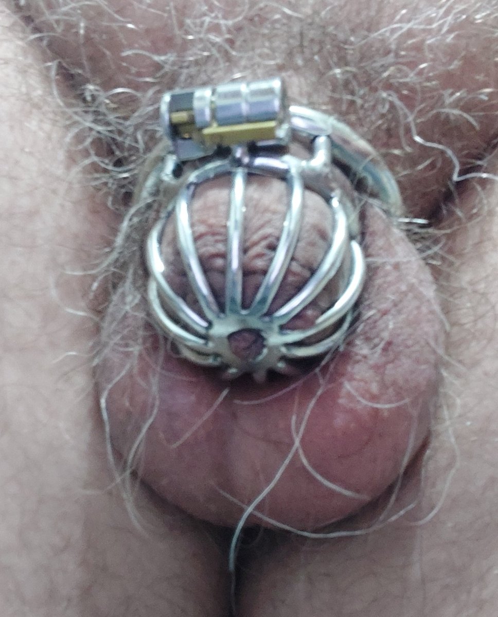 Seguindo 🔒
#teamlocked #chastity #locked