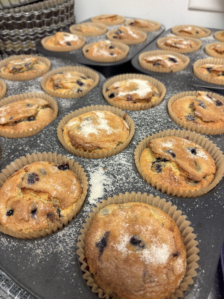 jocelyn! 🫧🦂 tweet media