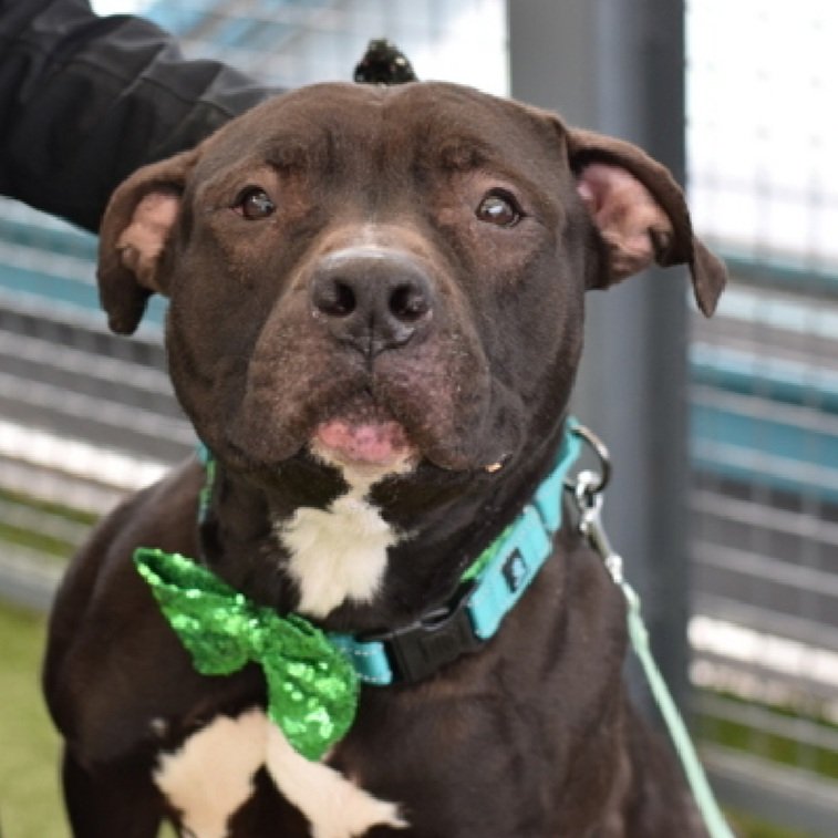 Cozy Paws🐾 tweet media