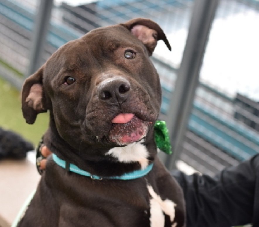 Cozy Paws🐾 tweet media