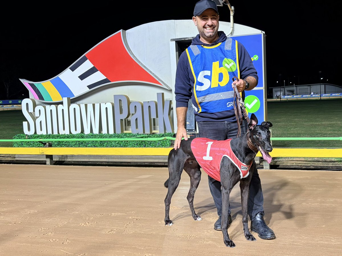 Sandown Greyhounds tweet media