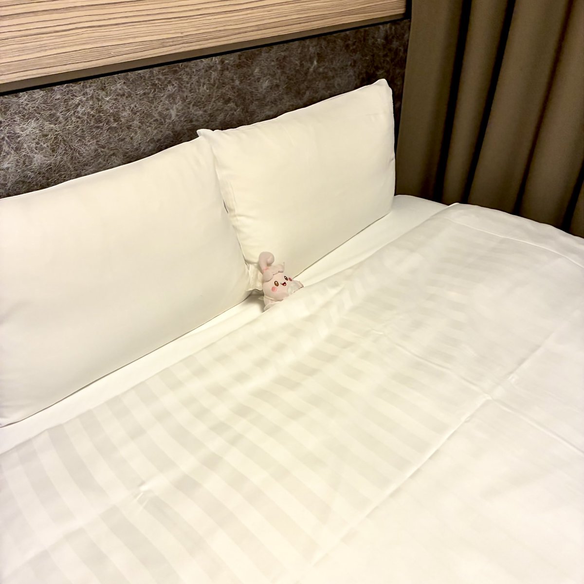 いっぷくピンプク tweet media