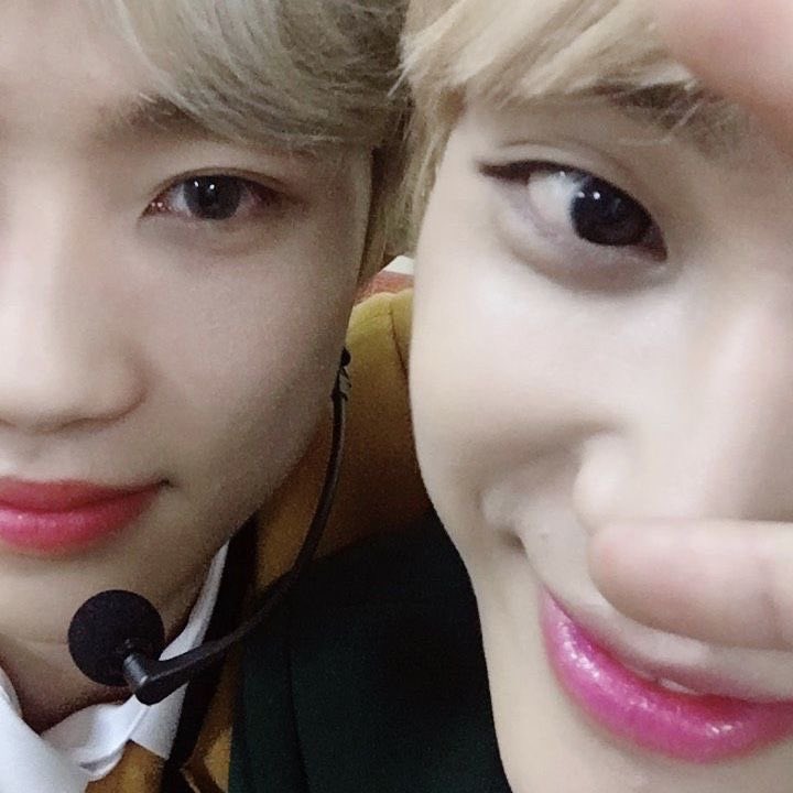 ⊱belle .ᐟ𓂃☘︎˖.¹¹ tweet media