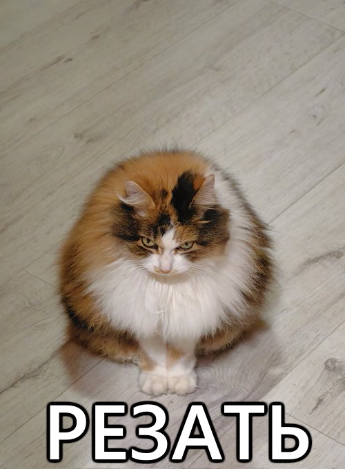 Parody (parody) tweet media