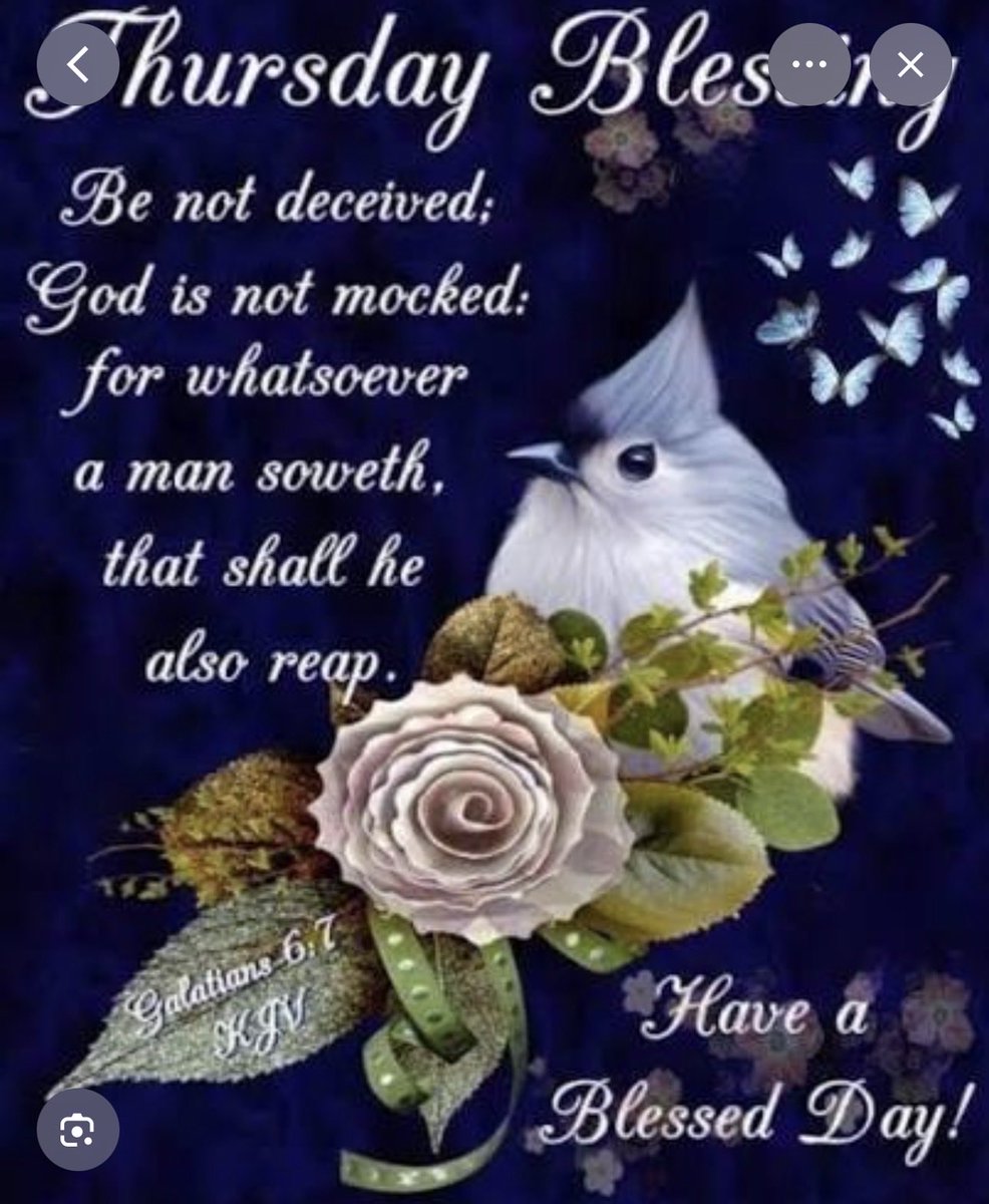 Luz Rivera 🇵🇷 tweet media