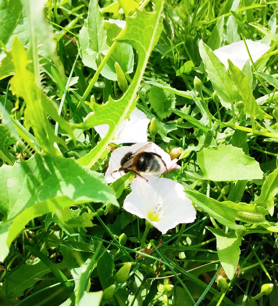 💗🍎Inna tweet media