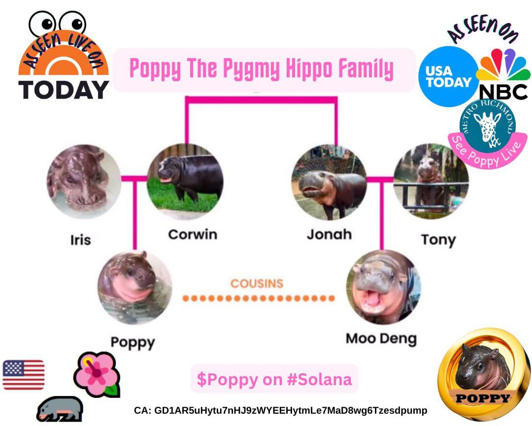 Poppy The Pygmy Hippo 🇺🇸 🦛 🌺 tweet media