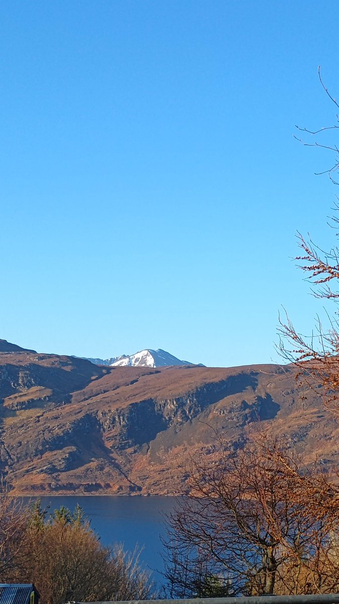 KatharineD tweet media