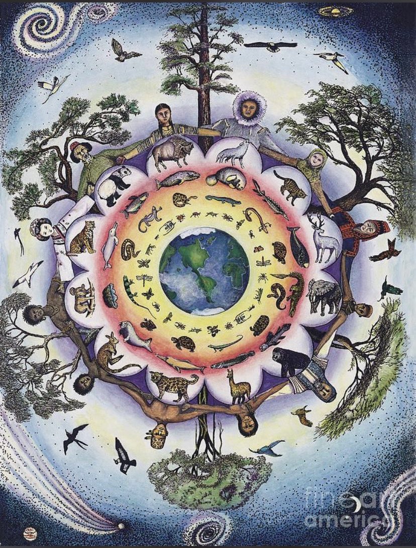 Bianca#We are one 🌎🕊️ tweet media