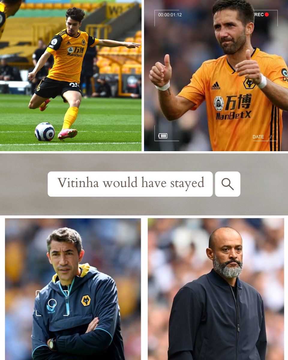 Wolves Fancast tweet media