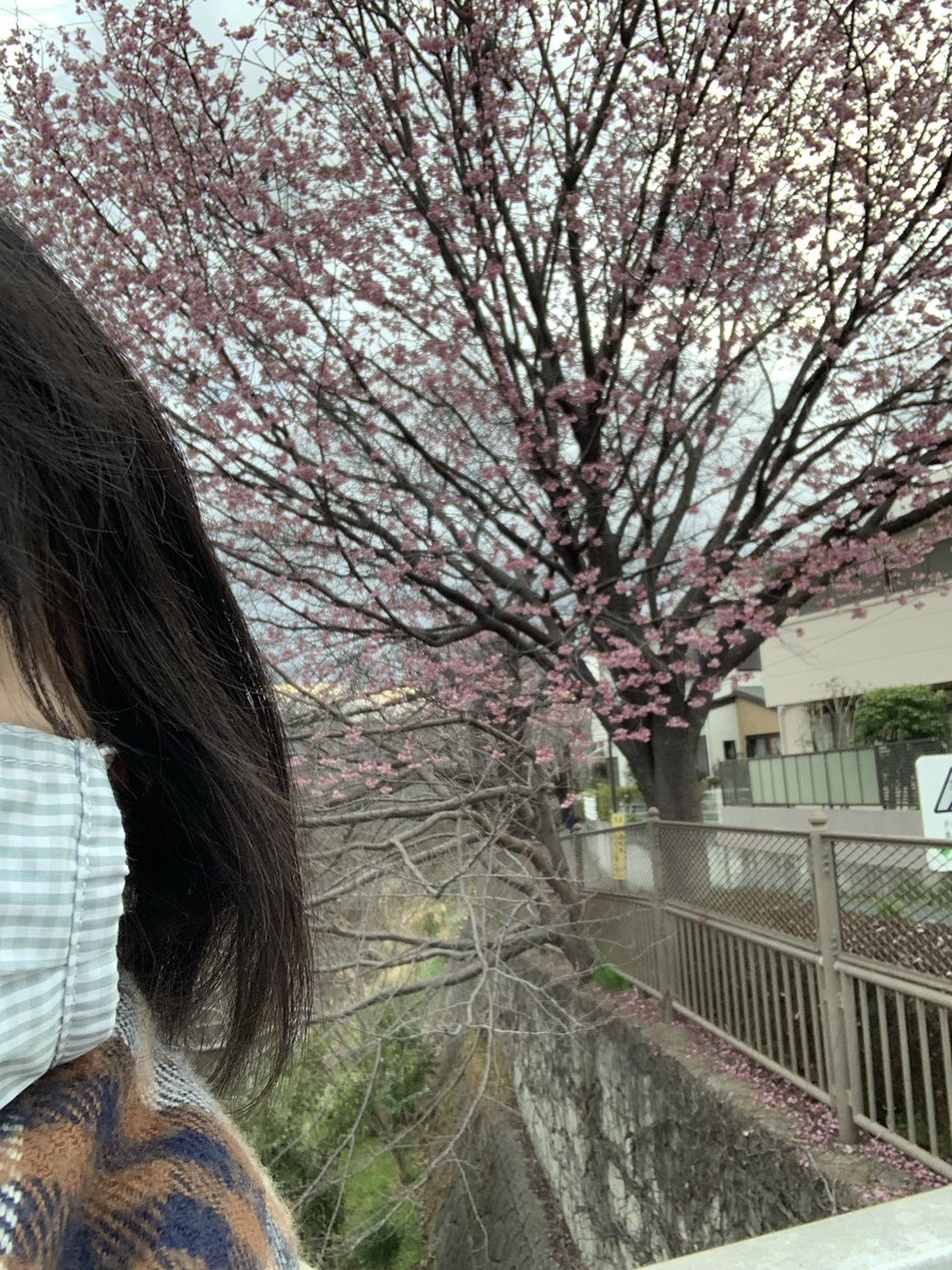 どうせなら
この姿の間に
写真に残してもらえば良かったー
とか思いながら
滅多に撮らない自撮り(ただし見切れ)
分かっててもきっと泣くな
#ショートヘアー