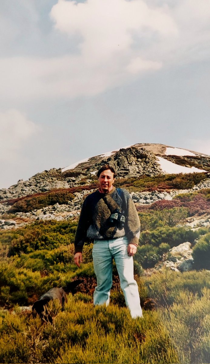 Alejandro DG tweet media