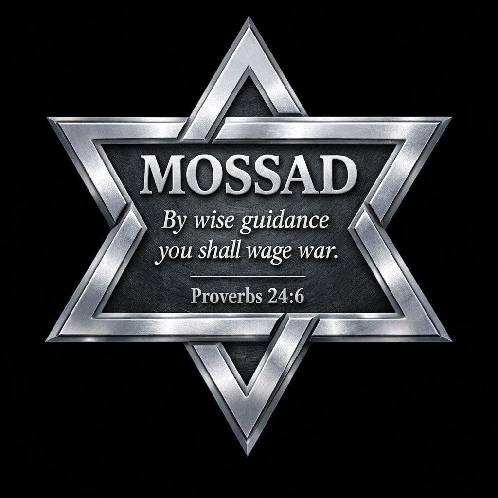 Luana Fabri tweet media