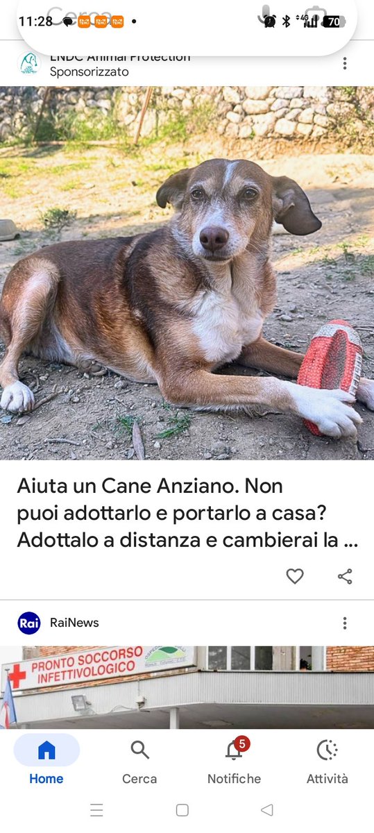 Vardiello tweet media