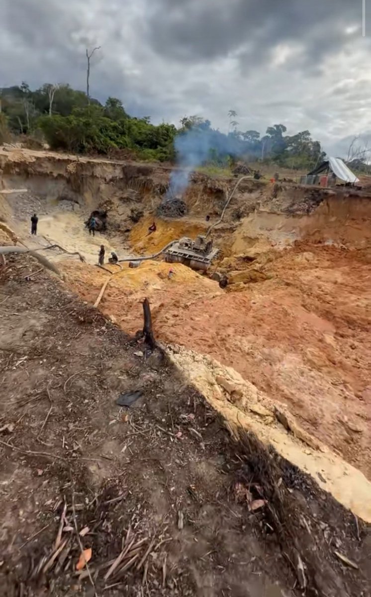 Fritz Sanchez tweet media