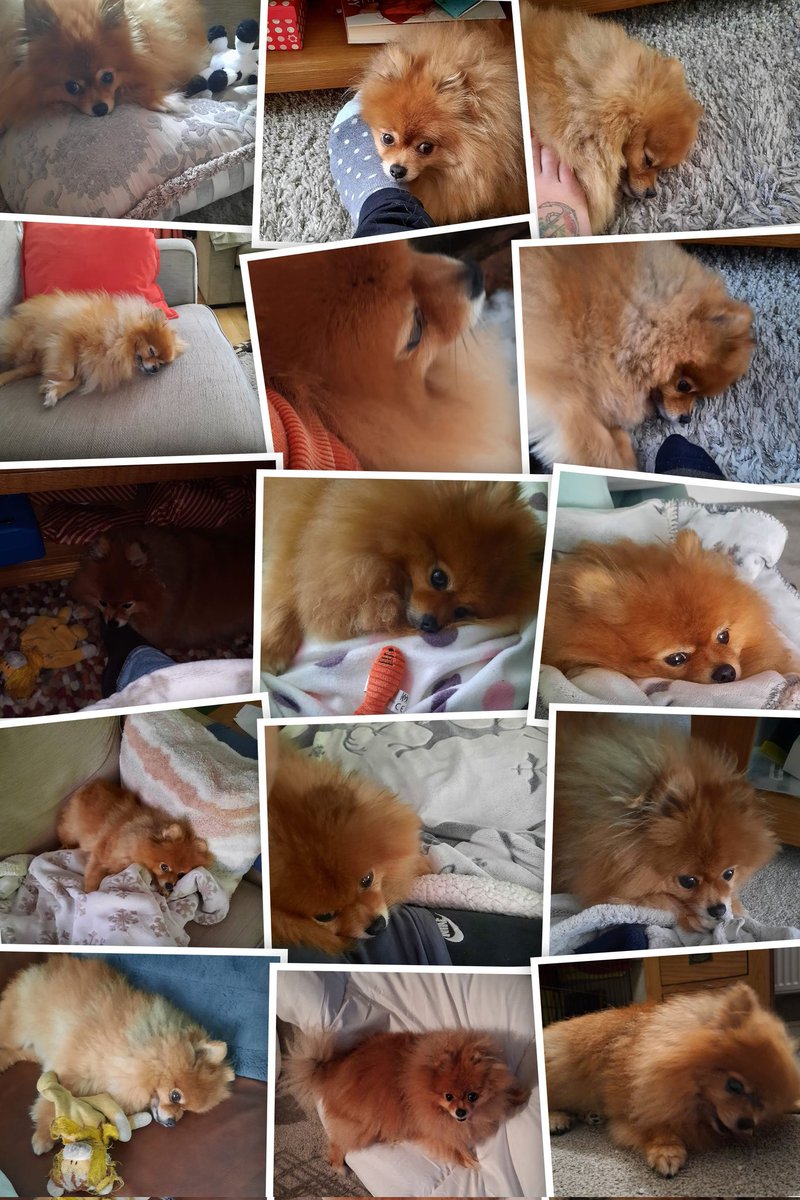 V & Merv 🏴 tweet media