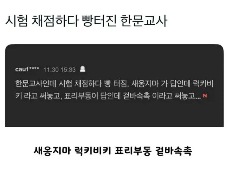 잔잔돌 tweet media