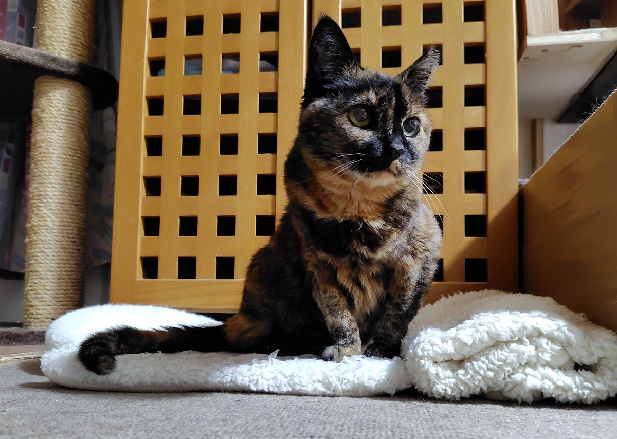 起きてきたら警戒しだす。
人間でも合わない相手は無理よね。