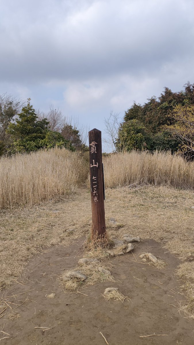 ゆーにゃ@活動再開🌸 tweet media