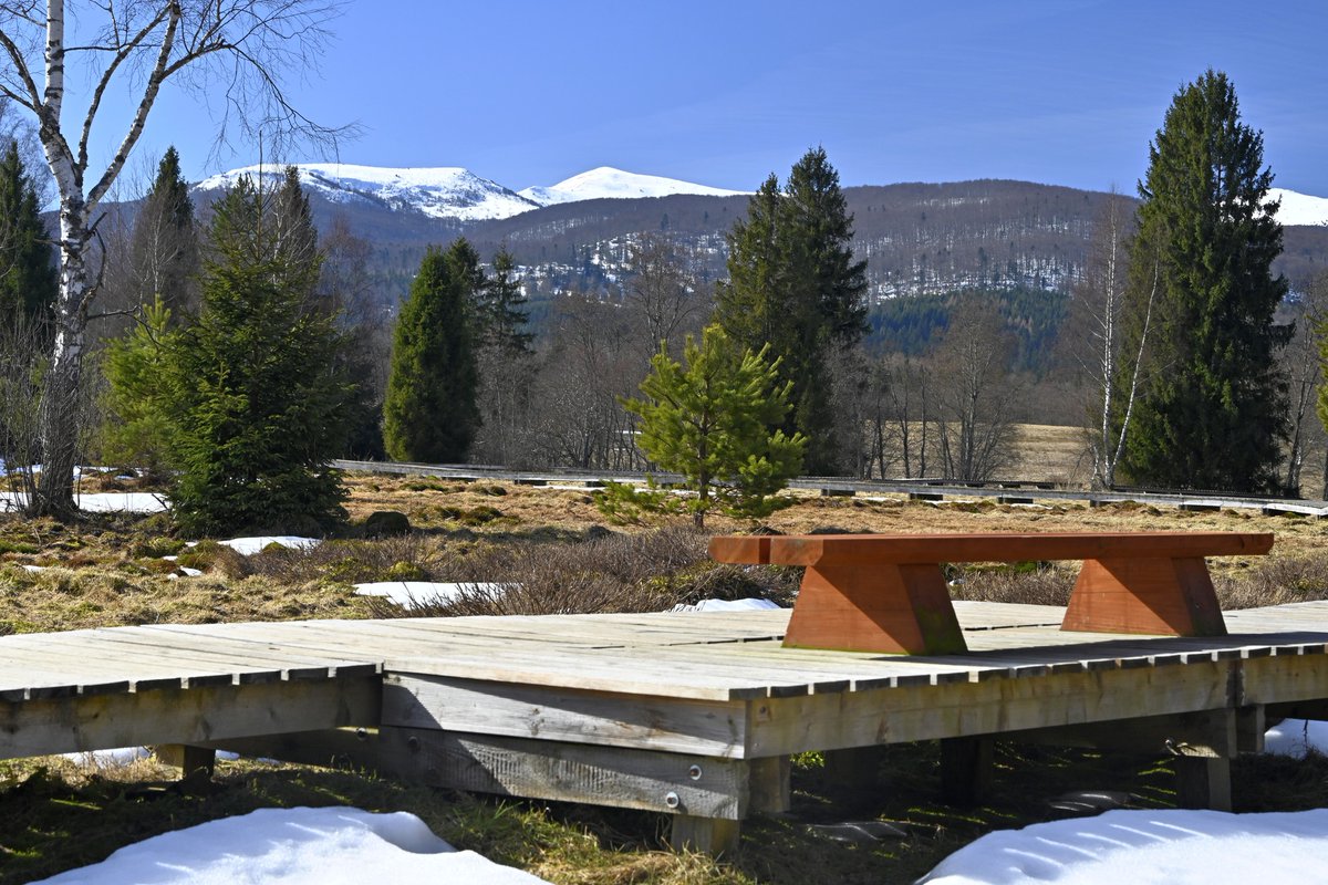 Podkarpackie tweet media