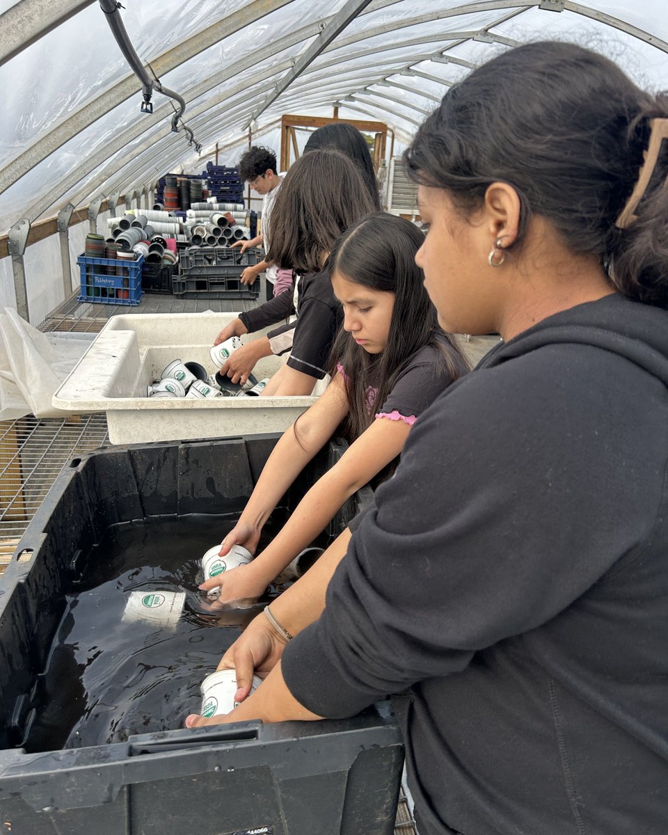 EOC of Suffolk, Inc. tweet media