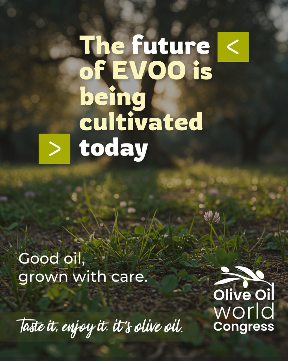 Olive Oil World Congress tweet media