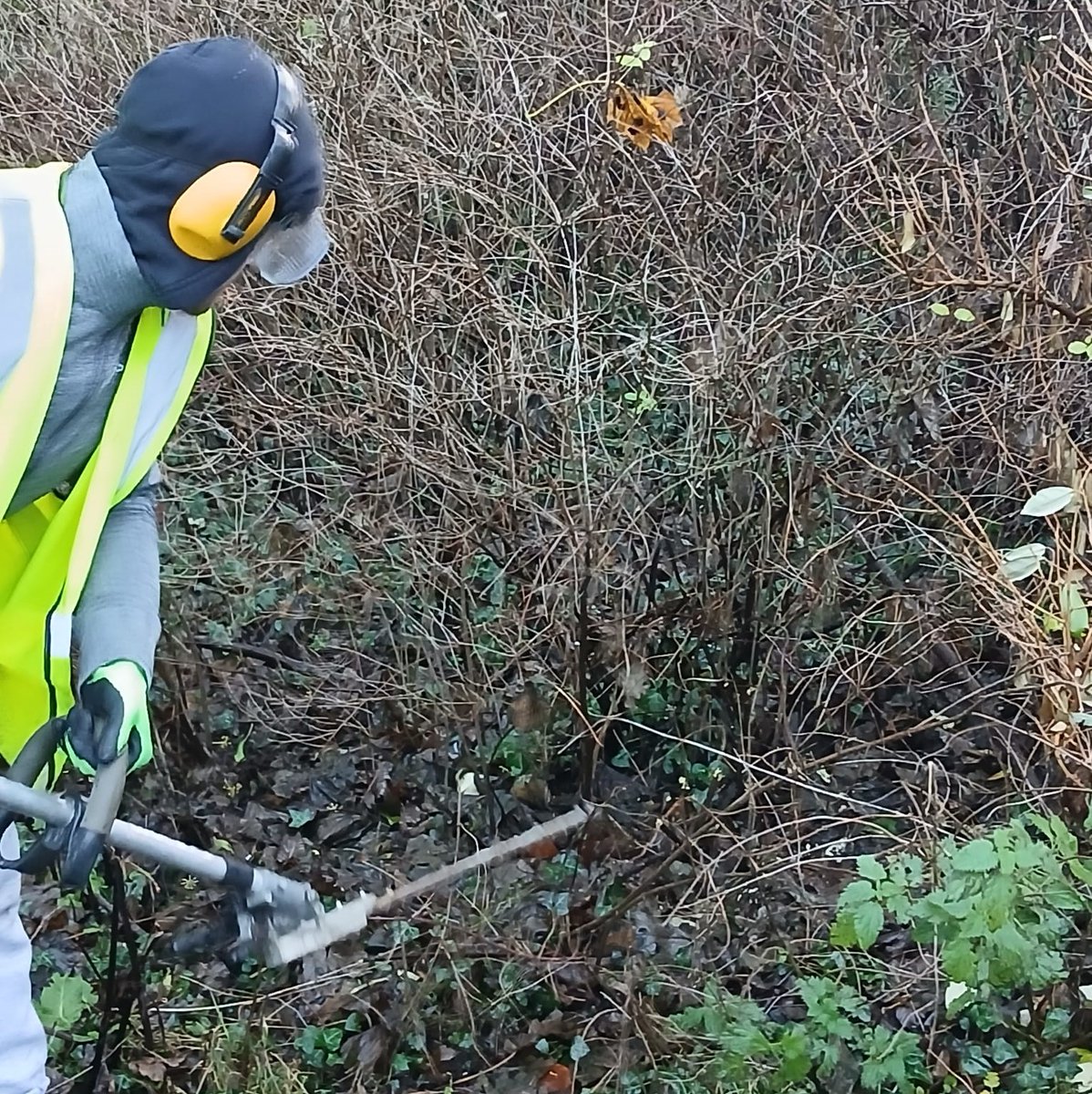 Probation Board for Northern Ireland tweet media
