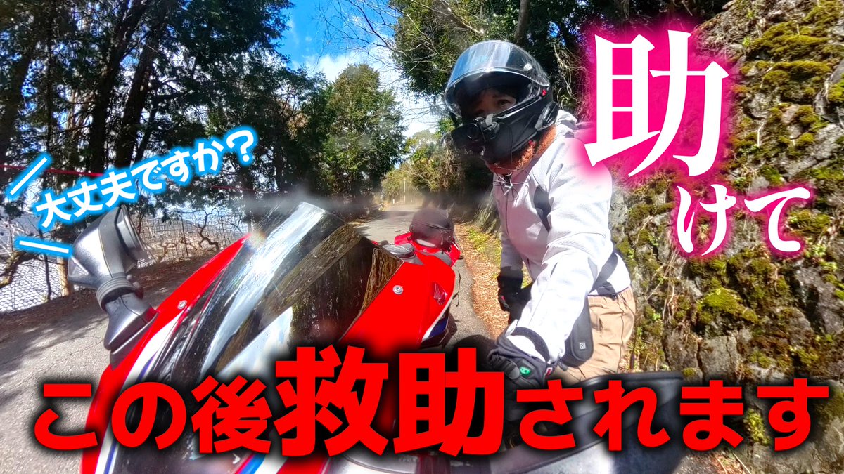 MIISA(みーさ)🥩🍜 tweet media