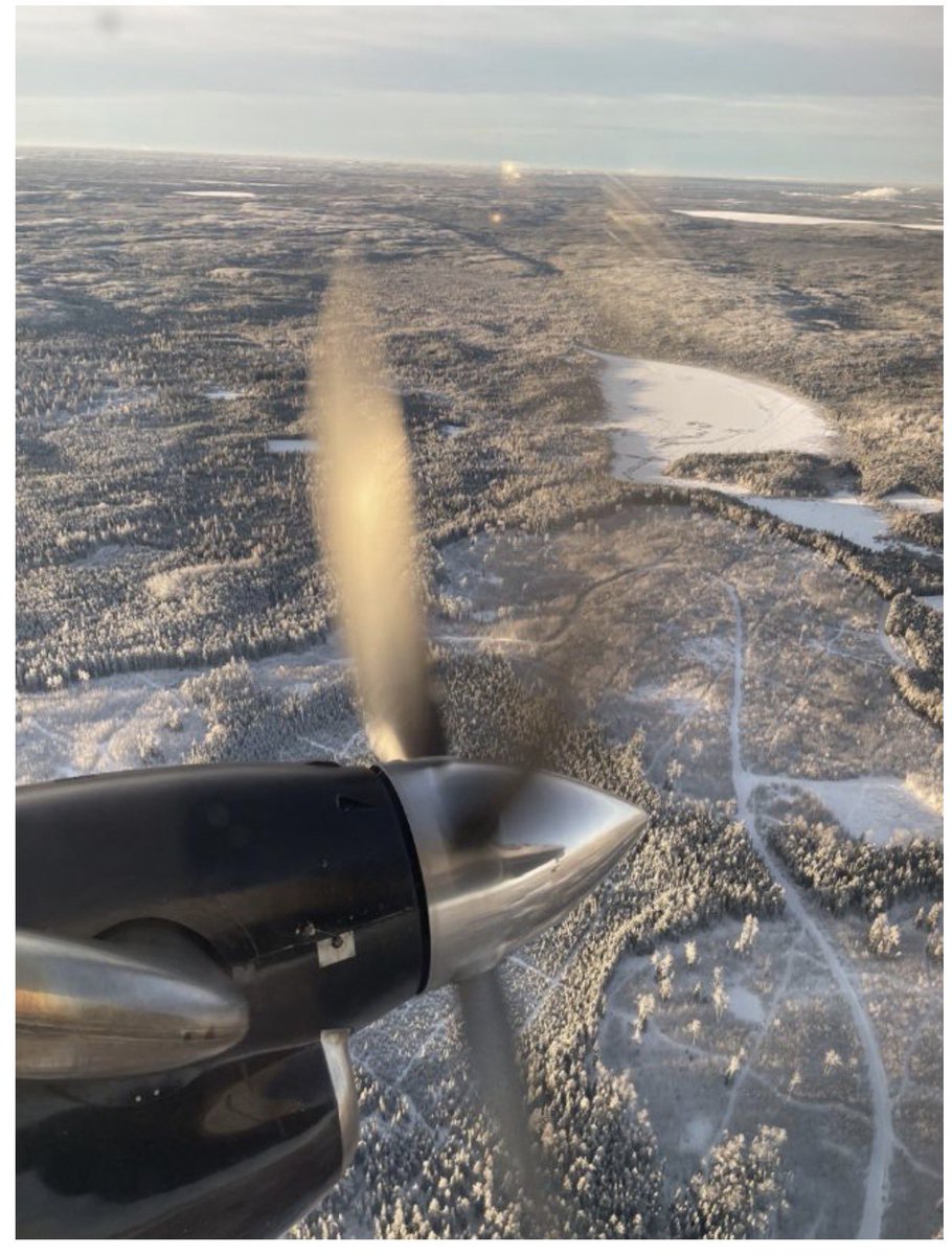 Razor Oil tweet media