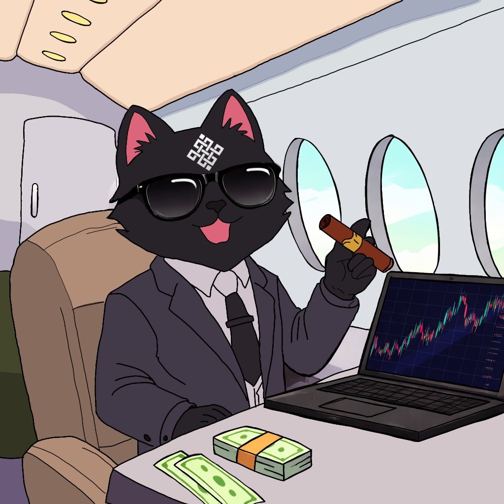 Aman(❖,❖) tweet media