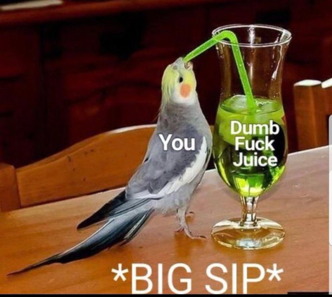 MAIDENanon tweet media