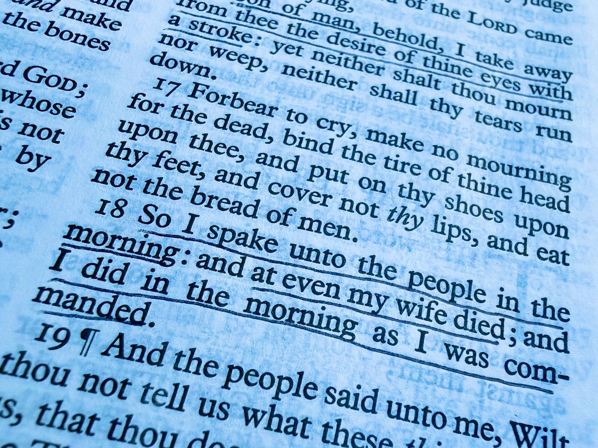 Allen Domelle tweet media