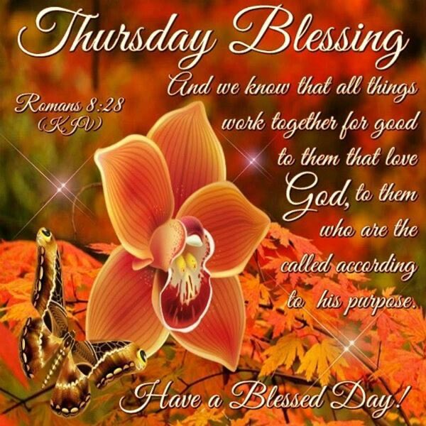 Luz Rivera 🇵🇷 tweet media