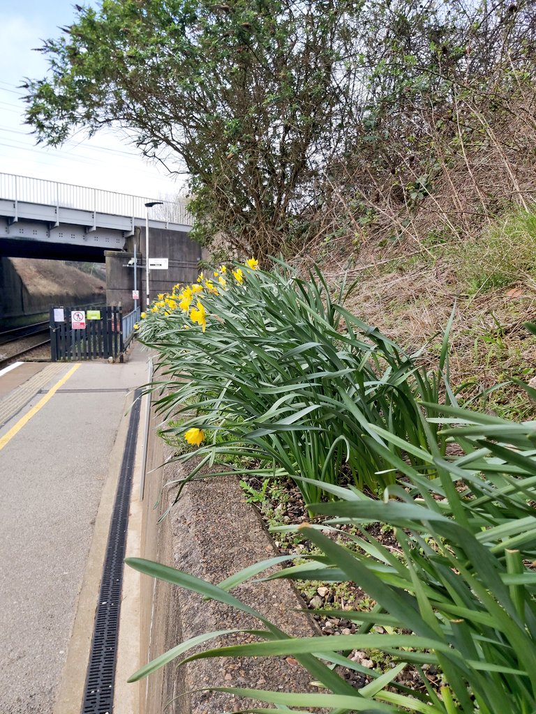 The Independent Brigg Line Rail Group (Est 2012) tweet media