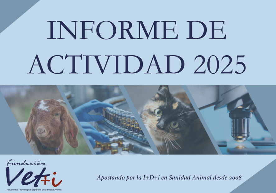 Fundación Vet+i tweet media