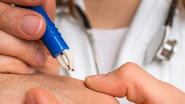 GacetaMedicaCom's tweet image. 🦠Virus transmitidos por #garrapatas: identifican 230 nuevos patógenos y 25 con alto riesgo para humanos

Un análisis internacional confirma, por primera vez, infecciones humanas de tres #virus previamente desconocidos @CellCellPress 

gacetamedica.com/investigacion/…