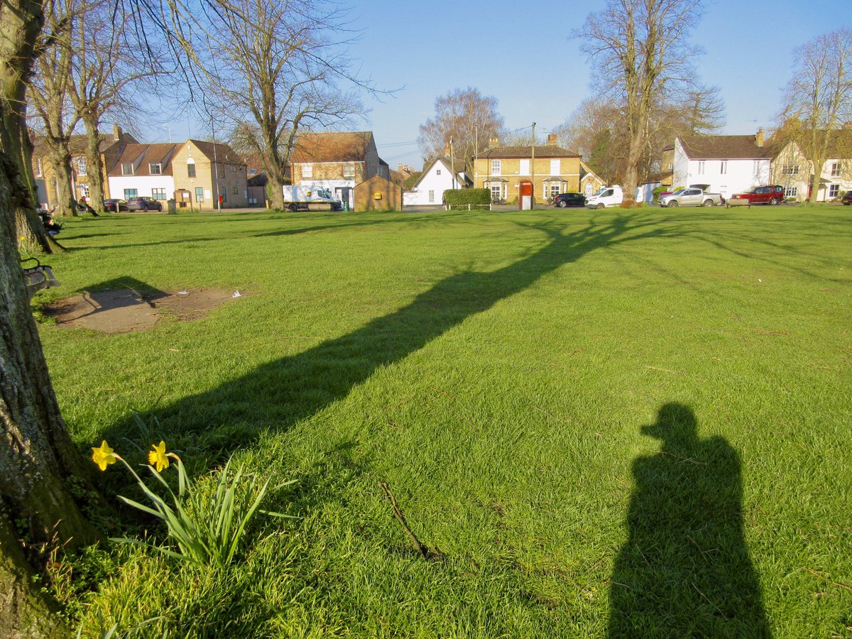 Susan Danielis Marshall tweet media