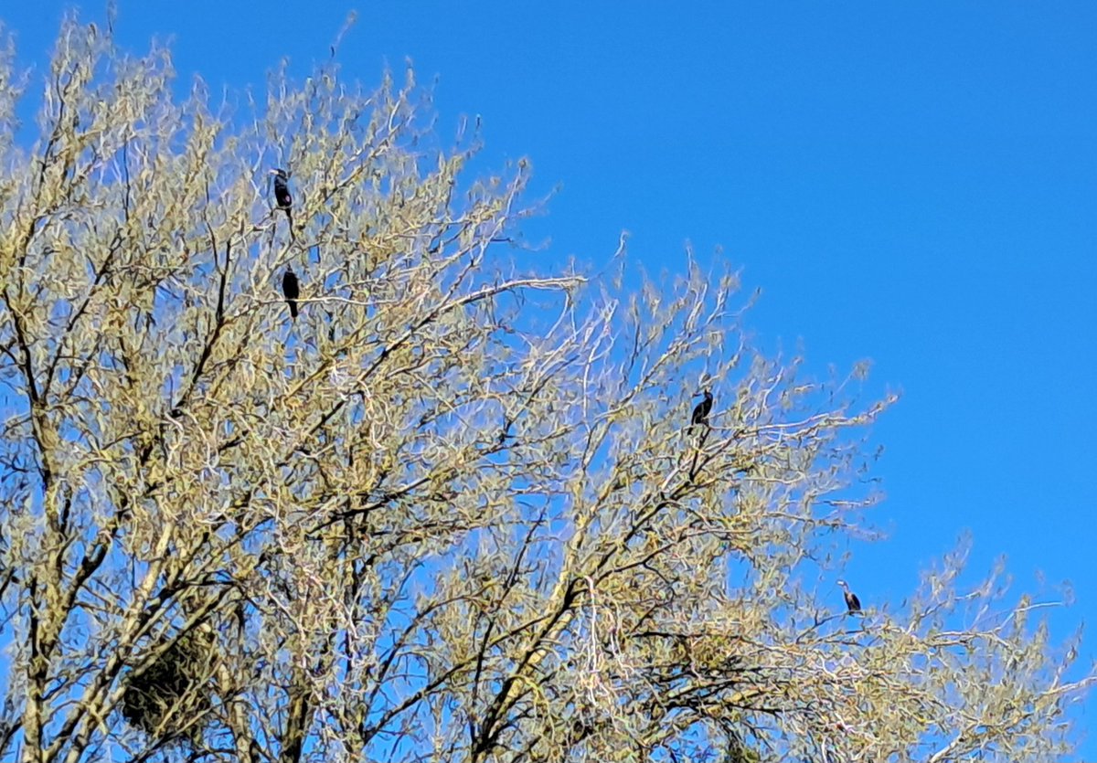 Craig from Devonshire 🚴♂️👋 tweet media